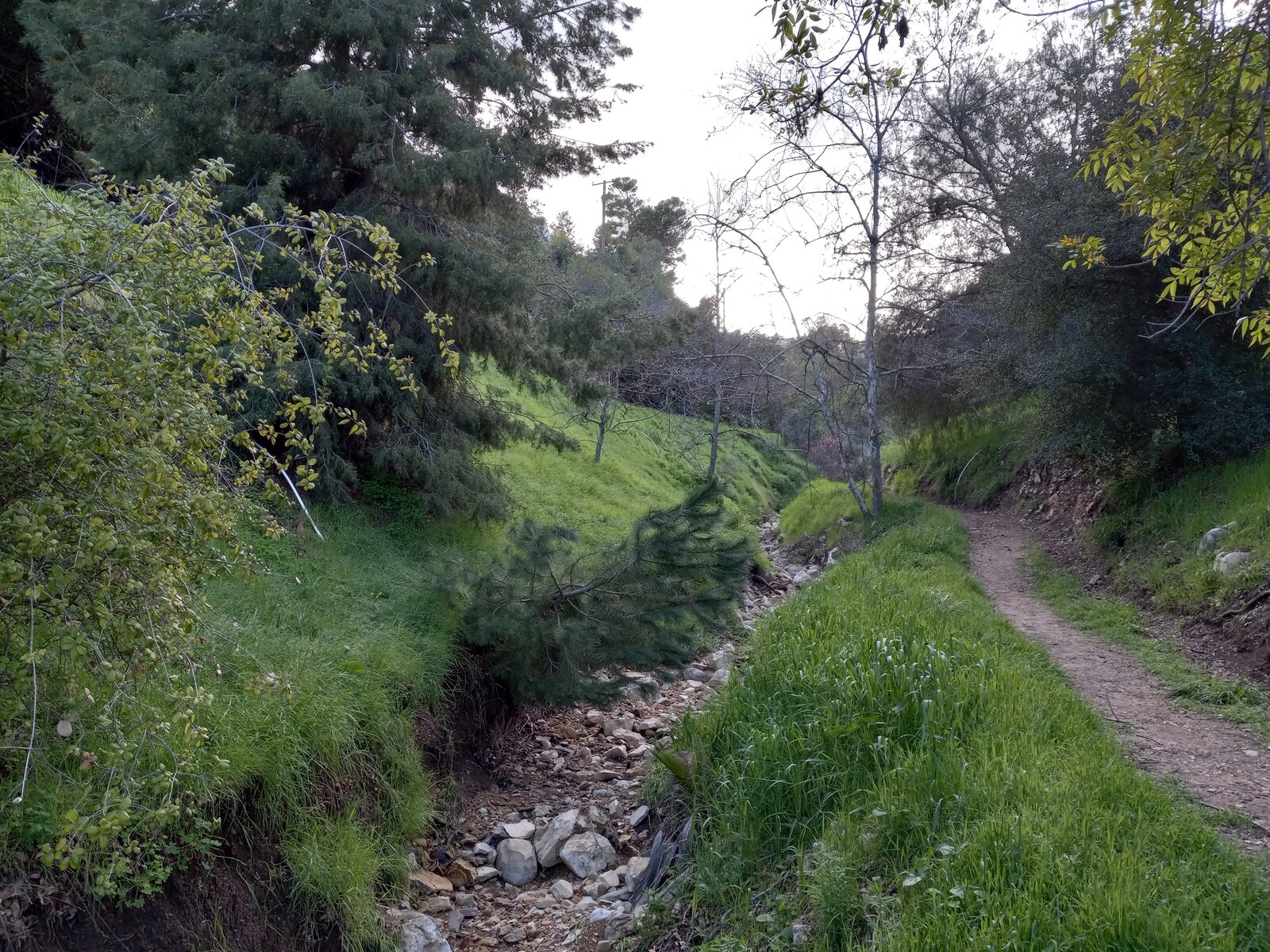 20230228_155952.jpg