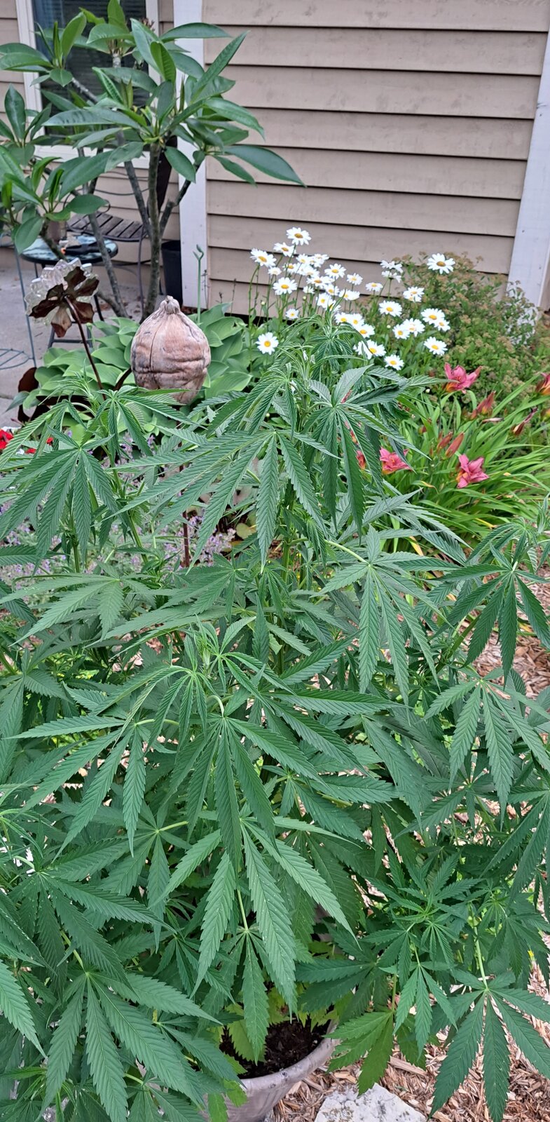 20230715_200213.jpg