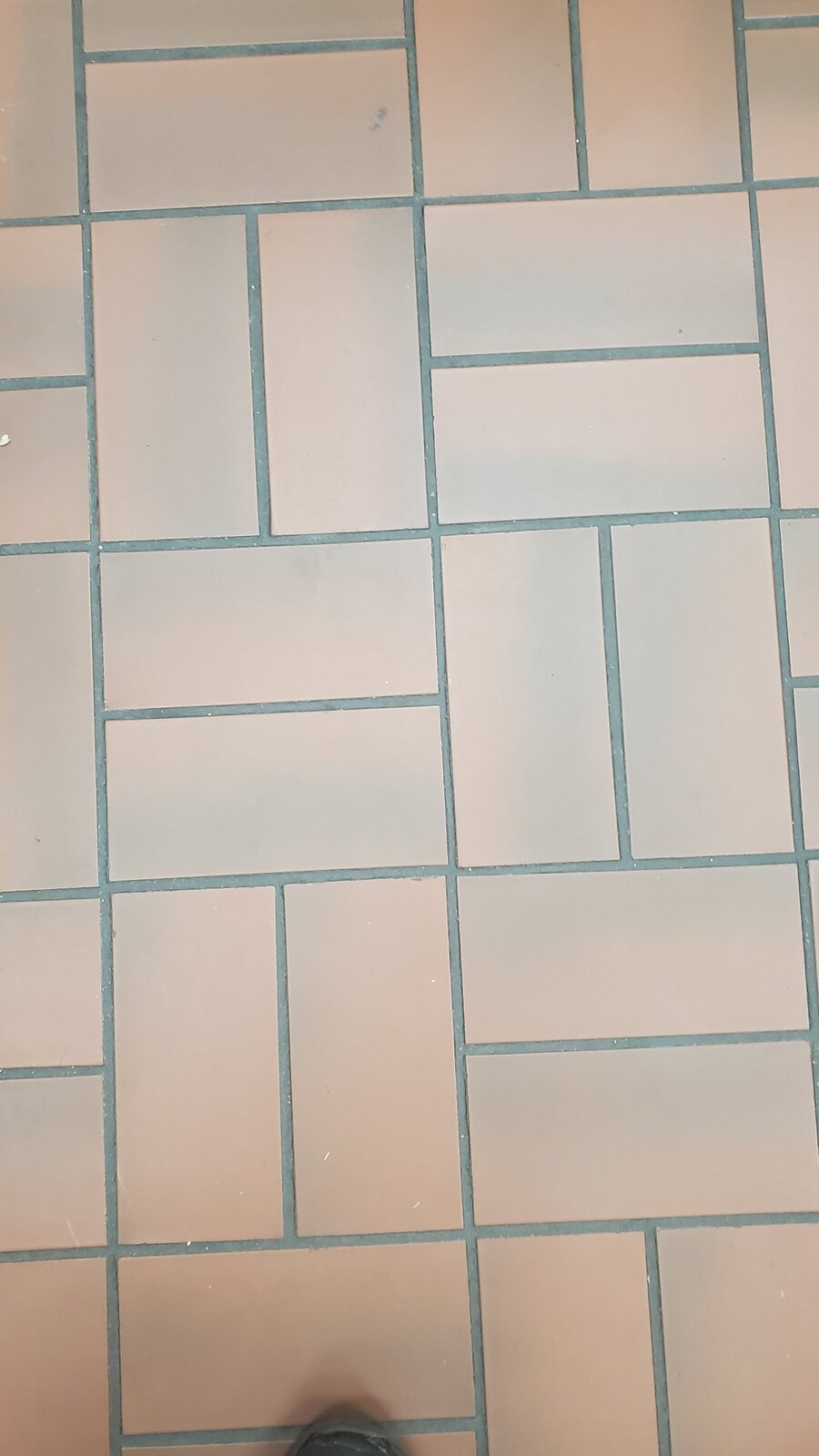 20230804_161500.jpg