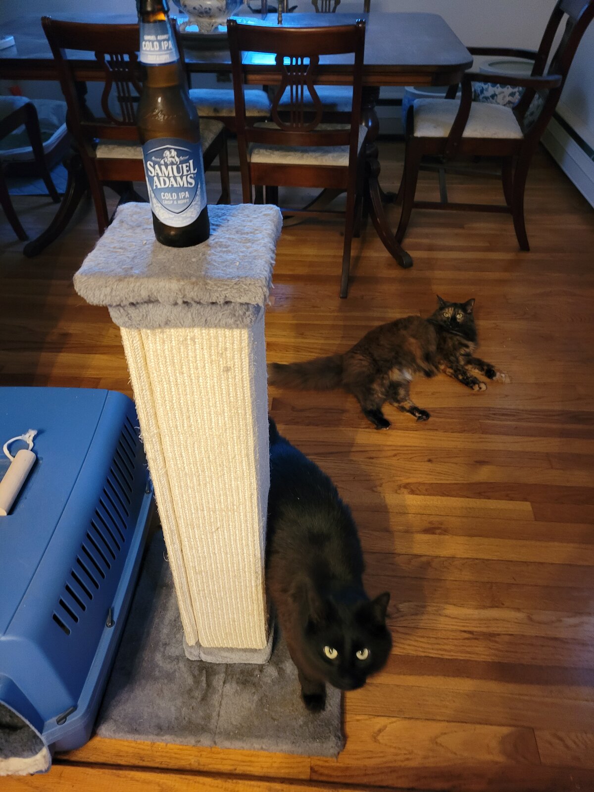 20240602_184238.jpg