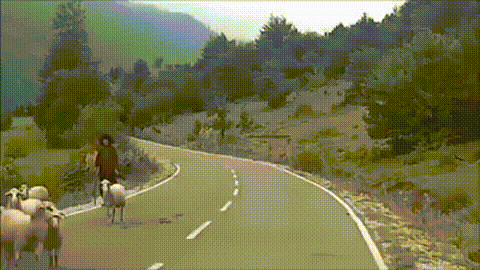 2065d861dc.gif