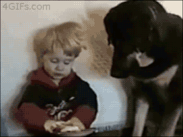 215a04fecab.gif