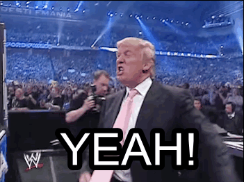 244CBC31-4CA1-46F4-8719-B66BA5934C60.gif