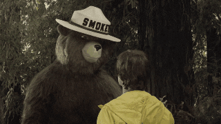 26E6E62B-7A76-4950-80CF-EA868EB37D09.gif