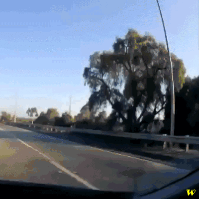 2718648WDFJXZ1j.gif