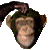 28.gif