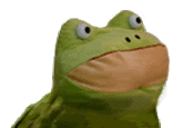 28a.gif