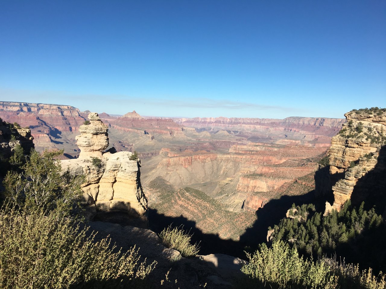 29E52353-C6BB-48B5-BC10-AA45DB41CE96.jpeg