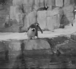 2aNV8HhubqM1y.gif