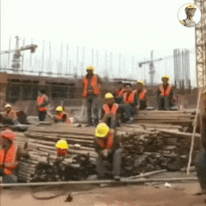 2de4ec585.gif