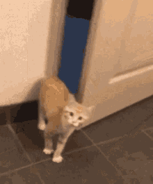 2E4C655E-D938-4908-8EDF-5BE12327CDD7.gif