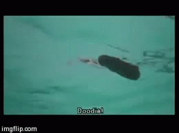 2EB4B933-694C-4A3D-9162-C3CCBFDCFD12.gif