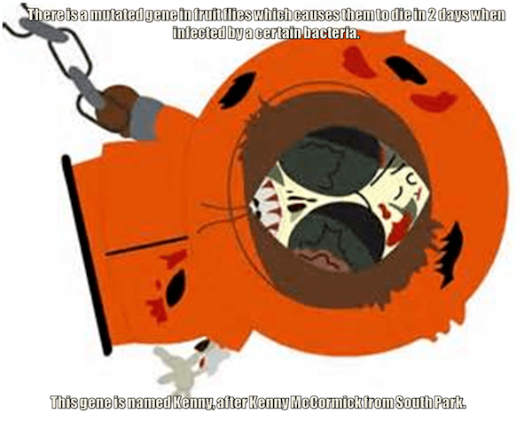 30-photos-2.png