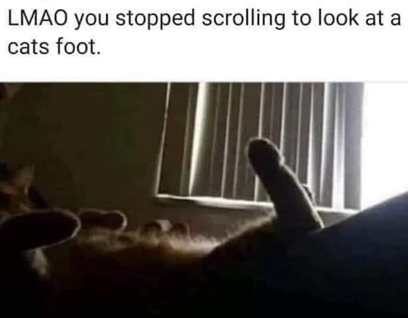 309258154_533261341941242_9154747176484747979_n.jpg