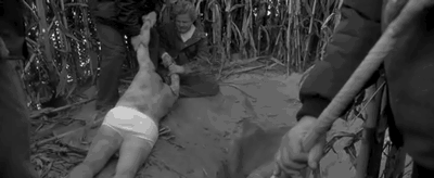 31E473DE-4670-417D-B06C-5A9EC52102DB.gif