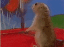 326EA71E-723B-4522-B31A-06BE3DC58A68.gif