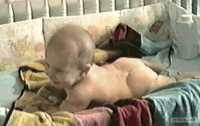3319DB9F-D784-4EC8-838F-D46CF57F341D.gif