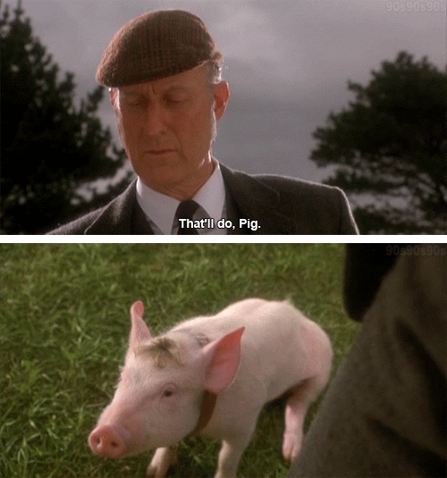 333549c.jpg.gif