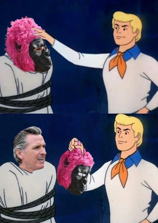336769_iinifad25dhba5f.jpeg