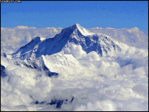 33FEDD98-6918-479F-BAF8-01883747B367.gif