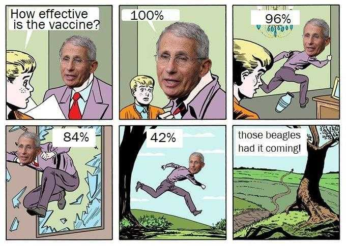 342799_gfvxaxnt399vtxn.png