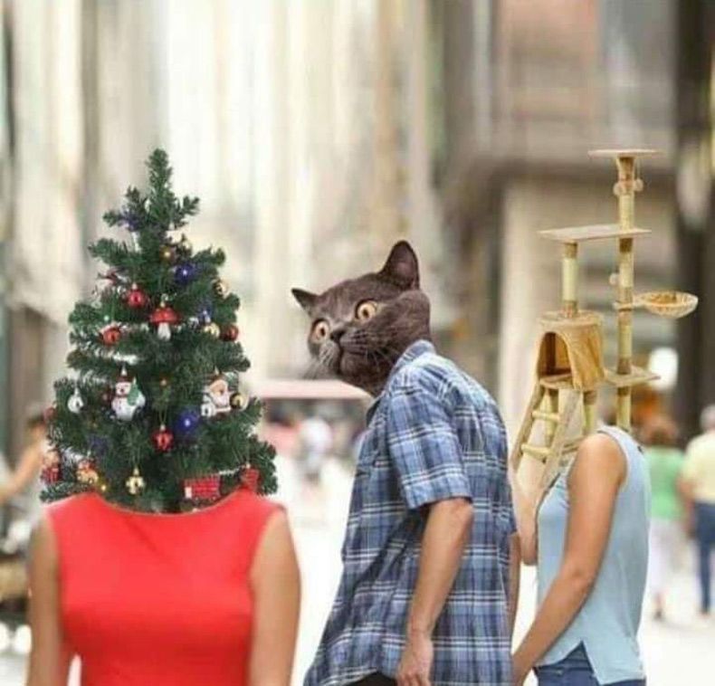 342967_t32tesytfxa66e9.jpeg