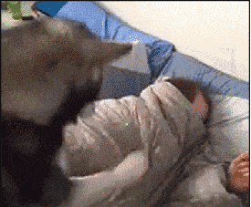35.gif
