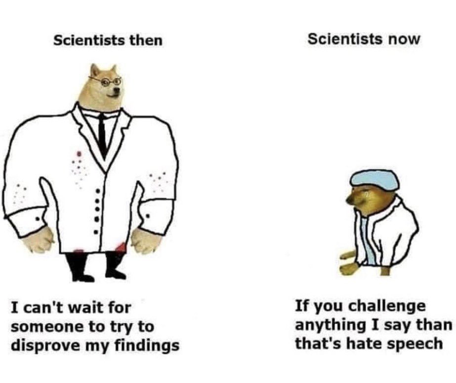 365917_u4si44vj6cmcwgf.jpeg