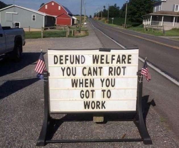 36dfda.jpg