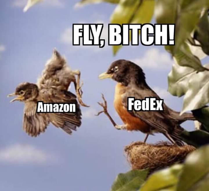 3819F6DE-A0F8-44FE-8210-CF69AE32DA0A.jpeg