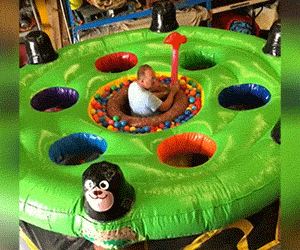 396AB4D0-FCEE-4A93-94FC-0B378A809E60.gif