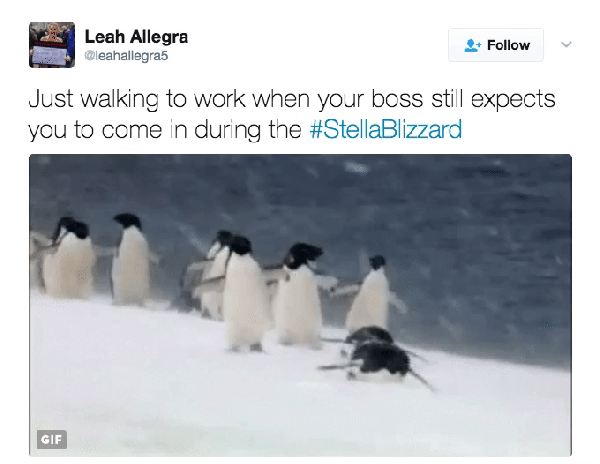 3f4d4db5b37c.gif