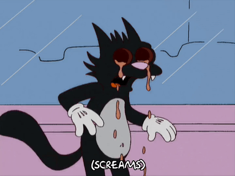 3orieSIiiTWipKU1iw.gif