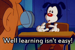 3Ql6.gif