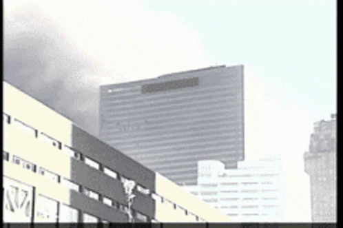 4148EC67-67CA-4731-A2D1-D622A0E29DA7.gif