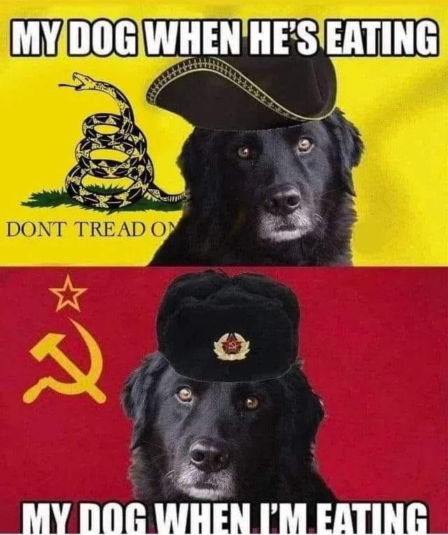 418555_65sewljxqryna98.jpeg