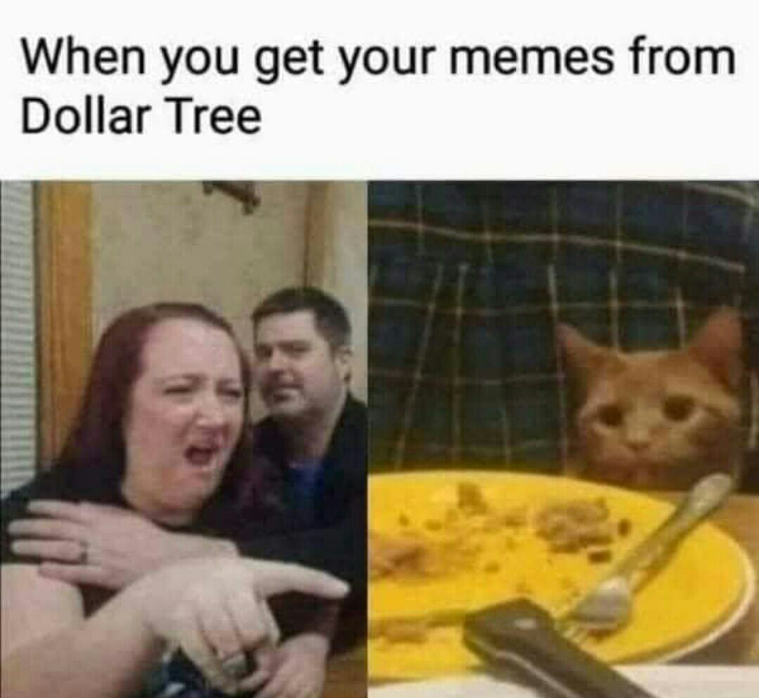 418555_h81uq7q4jpagxja.jpeg