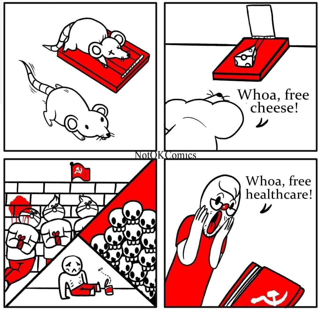 418555_jj1hqcblqaxgjvx.jpeg