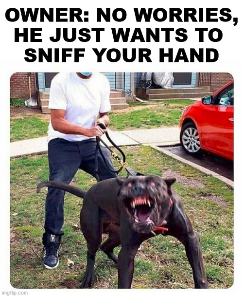 41wjnp.jpg