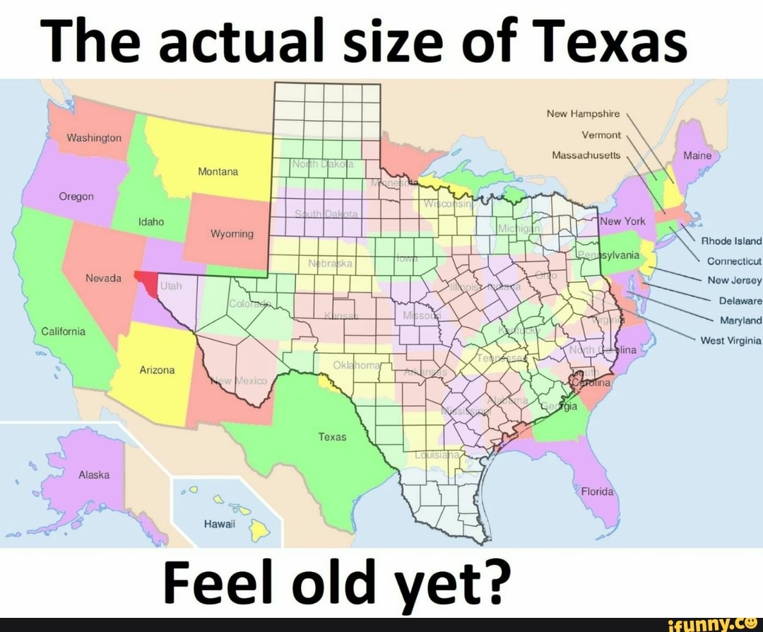 44E24169-8B3C-481B-980D-5F97B99EE4C8.jpeg