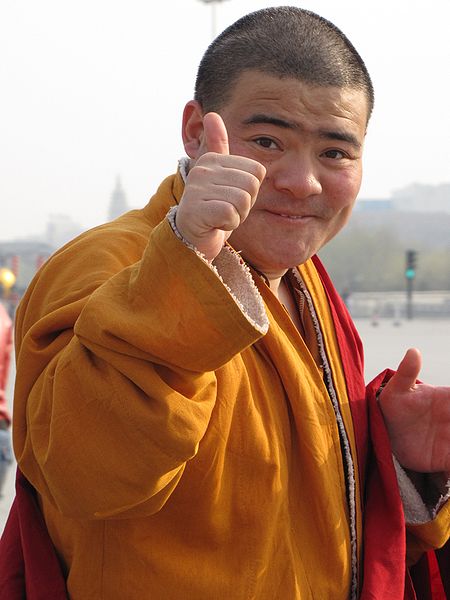 450px-Beijing_bouddhist_monk_2009_IMG_1486.jpg