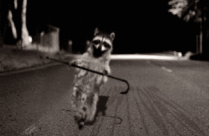 48171325-D3E9-4E3A-B545-7FFA2DA613A4.gif