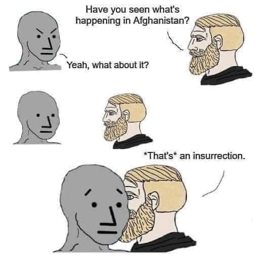 49729_ueib1aj4ffetppo.jpeg