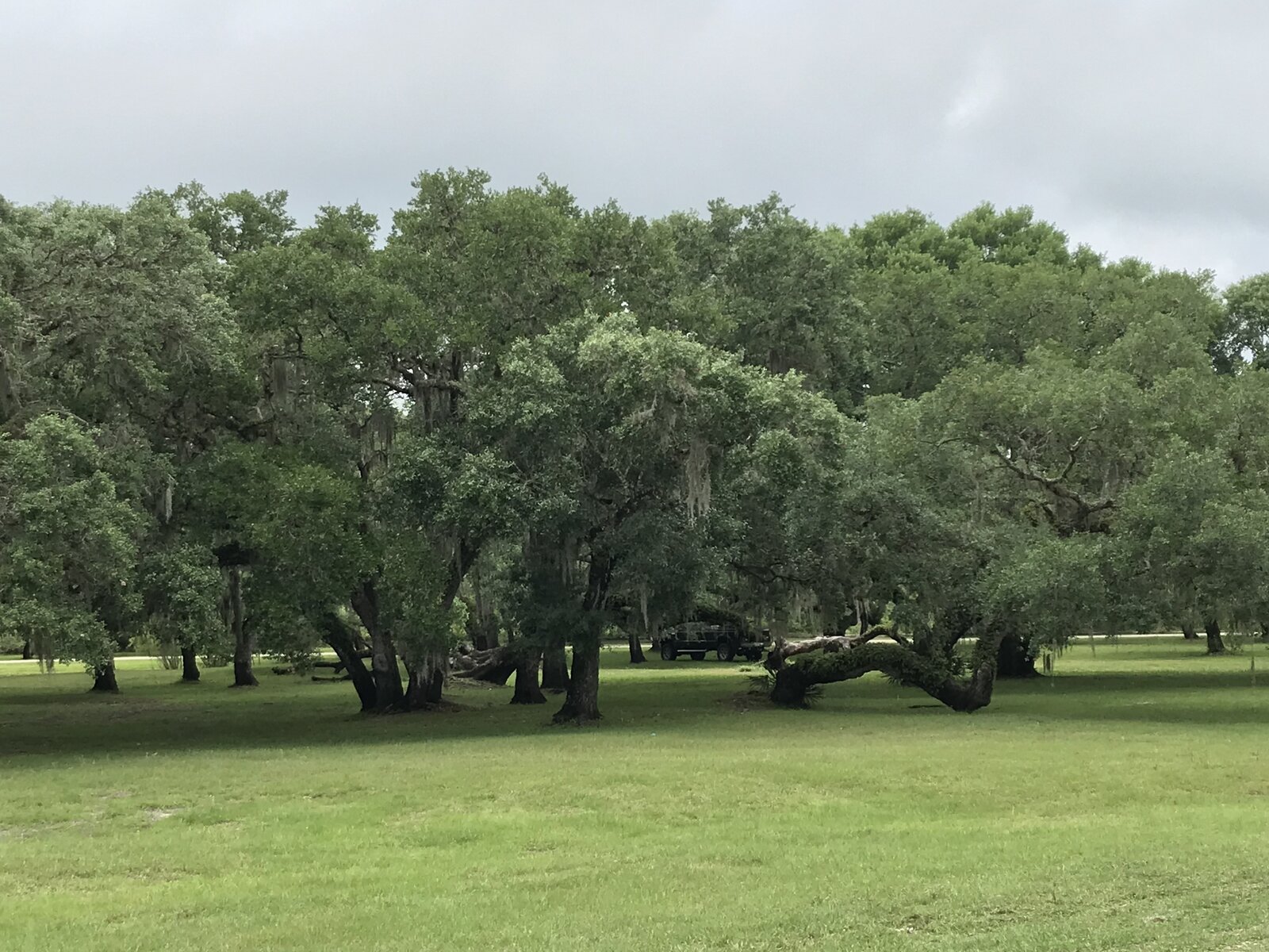 49F3E652-DE27-4819-BD13-2CA9955808F7.jpeg