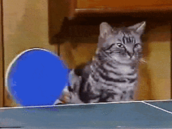 4IAzyrhy9rkis.gif
