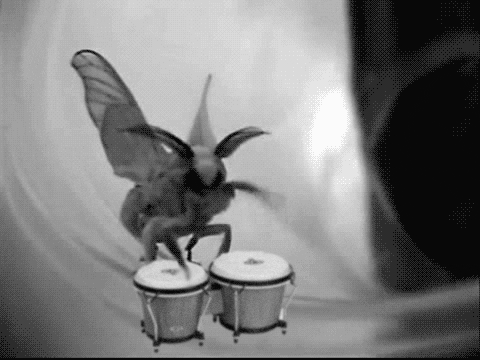 4tlkVBk7mm6iY.gif