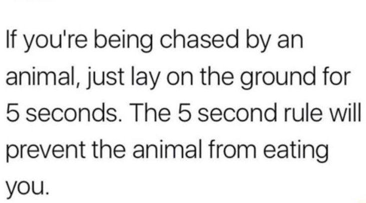 5 second rule.png