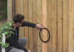 53366ae749.gif