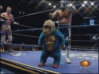 543FC8AB-644F-4D67-BE49-47E94D65F508.gif