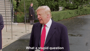 548989AC-4C5F-433C-B6A7-1F03F75EF8A6.gif